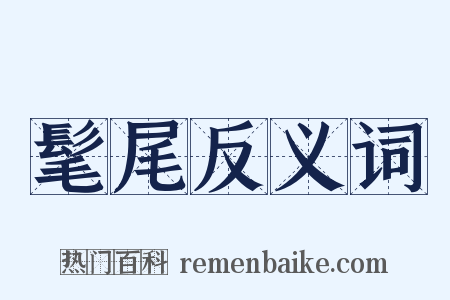 髦尾反义词是什么意思的图片